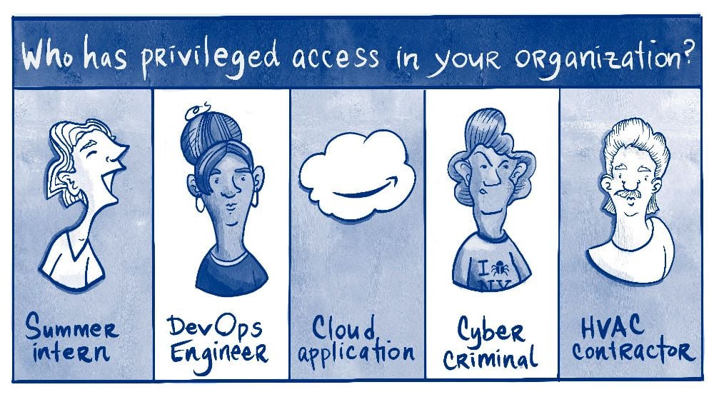 Who has privileged access in your organization? Summer intern, DevOps Engineer, Cloud application, Cyber criminal, HVAC contractor