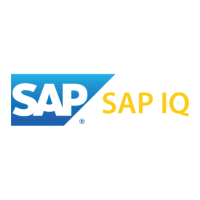 SAP IQ