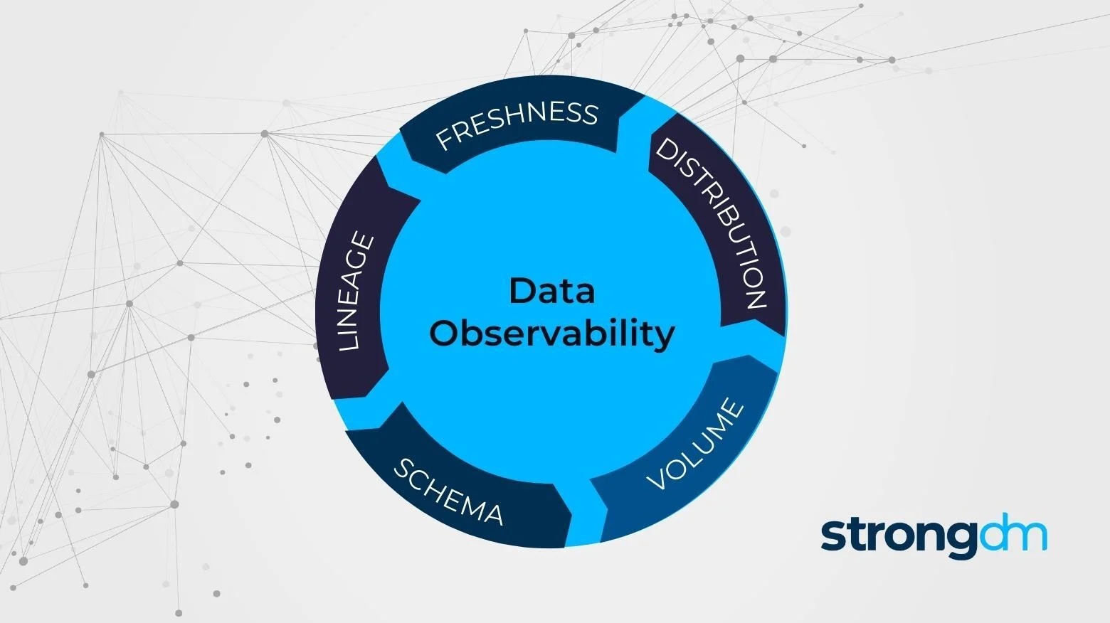 Data Observability: Comprehensive Guide | strongDM