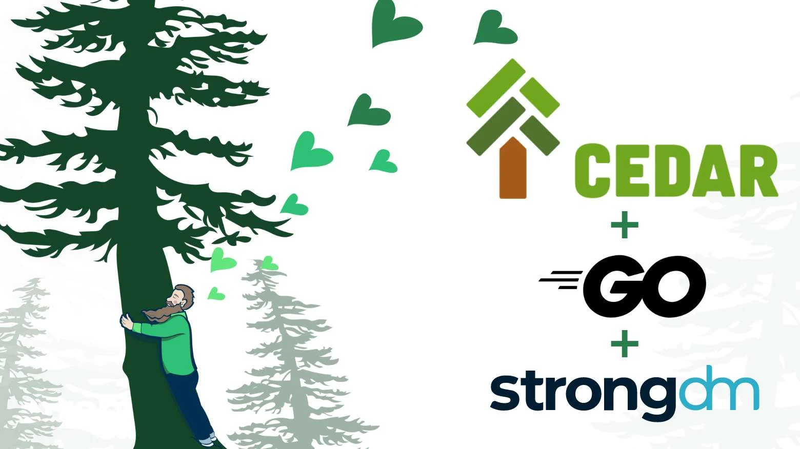 Cedar Go Implementation: Simplifying Security for Developers