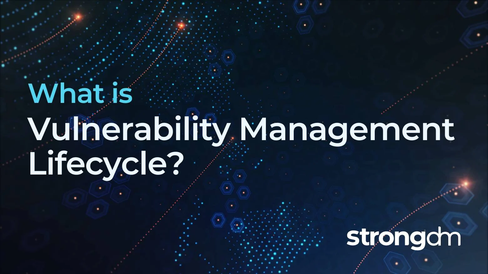 What is a Vulnerability Management Lifecycle?
