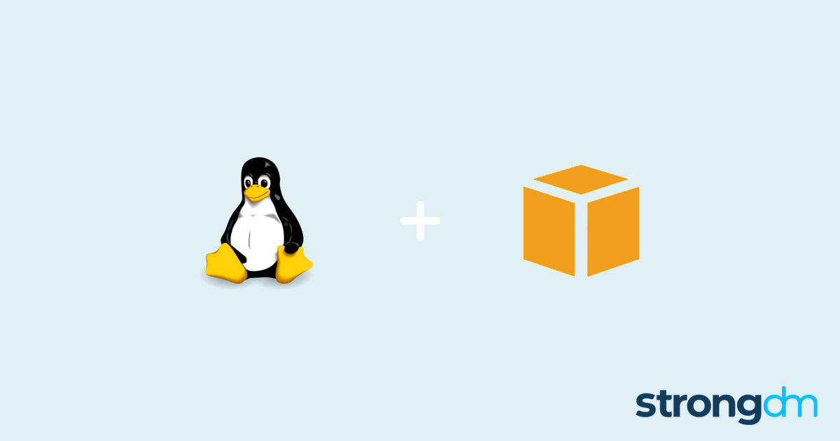 Connect Amazon Linux and AWS CLI StrongDM